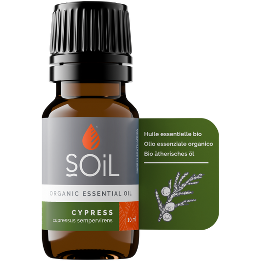 Organic Cypress Essential Oil (Cupressus Sempervirens) 10ml