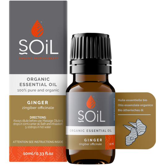 Organic Ginger Essential Oil (Zingiber Officinale) 10ml