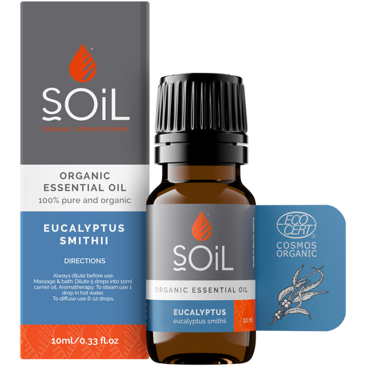 Organic Eucalyptus Essential Oil (Eucalyptus Smithii) 10ml