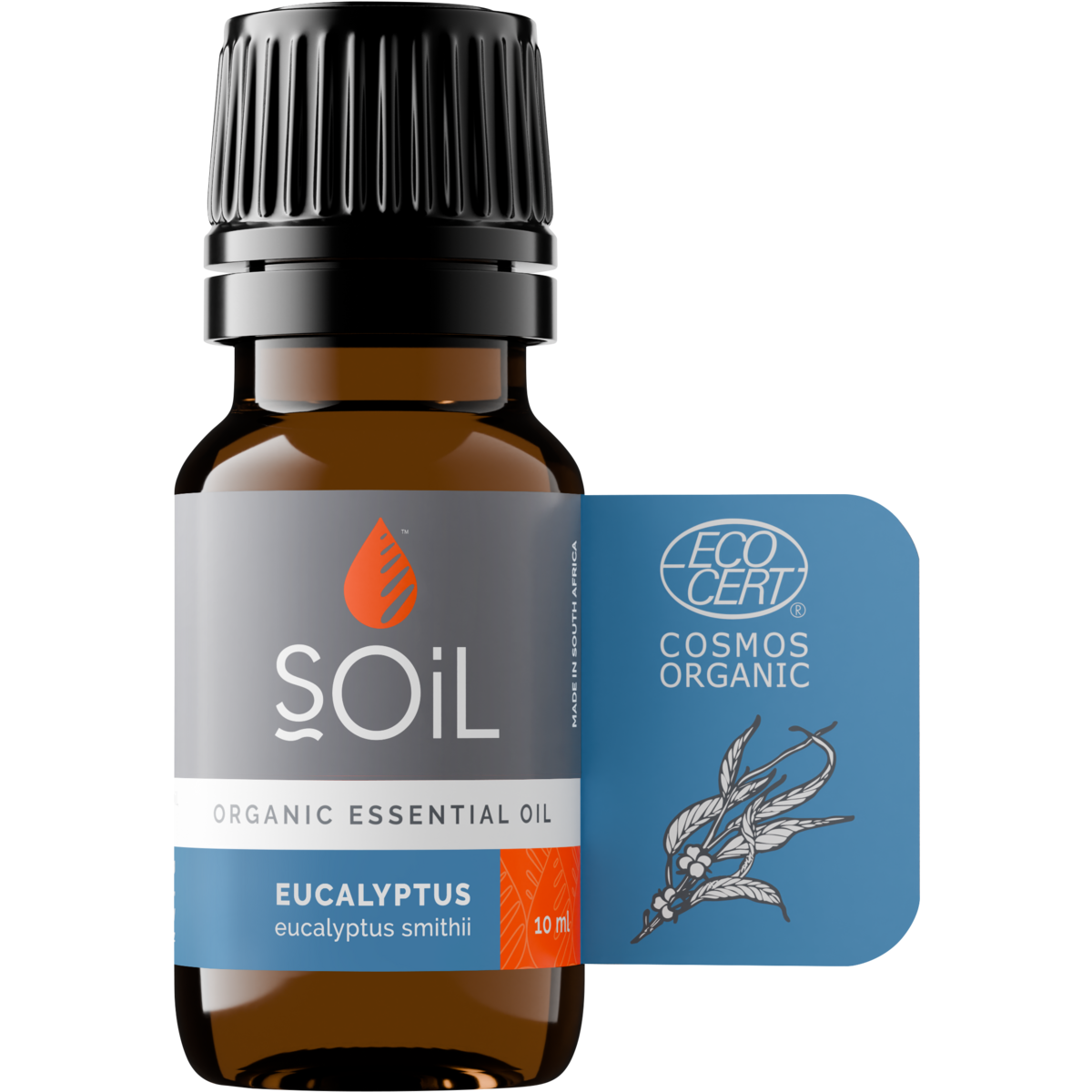 Organic Eucalyptus Essential Oil (Eucalyptus Smithii) 10ml