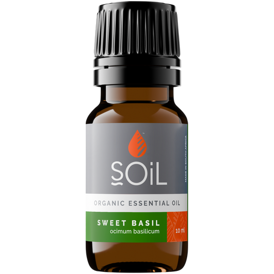 Organic Basil Essential Oil (Ocimum Basilicum) 20ml