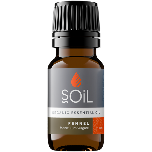 Organic Fennel Essential Oil (Foeniculum Vulgarus) 20ml