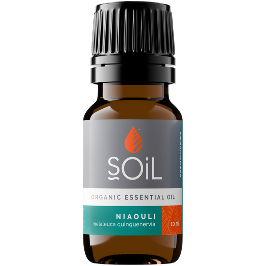 Organic Niaouli Essential Oil (Melaleuca QuinQuenervia) 10ml