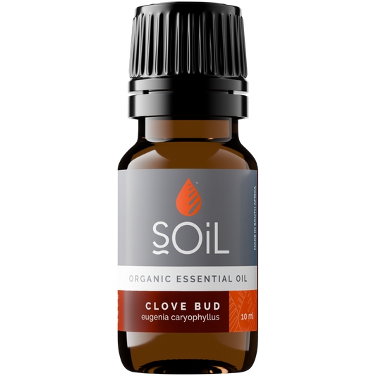 Organic Clove Bud Essential Oil (Eugenia Caryophillus) 20ml