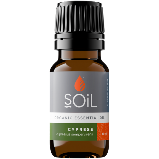 Organic Cypress Essential Oil (Cupressus Sempervirens) 10ml