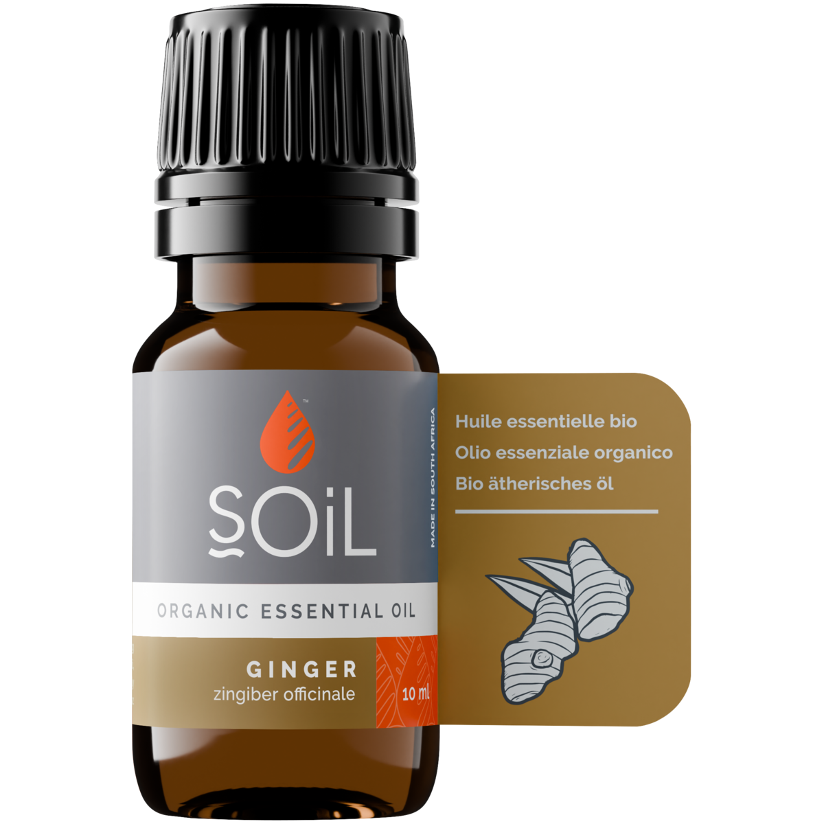 Organic Ginger Essential Oil (Zingiber Officinale) 10ml