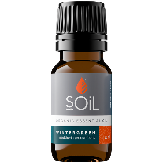 Organic Wintergreen Essential Oil (Gaulteria Procumbens) 20ml