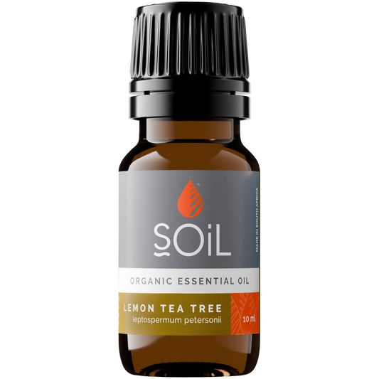 Organic Lemon Tea Tree Essential Oil (Leptospermum Petersonii) 10ml