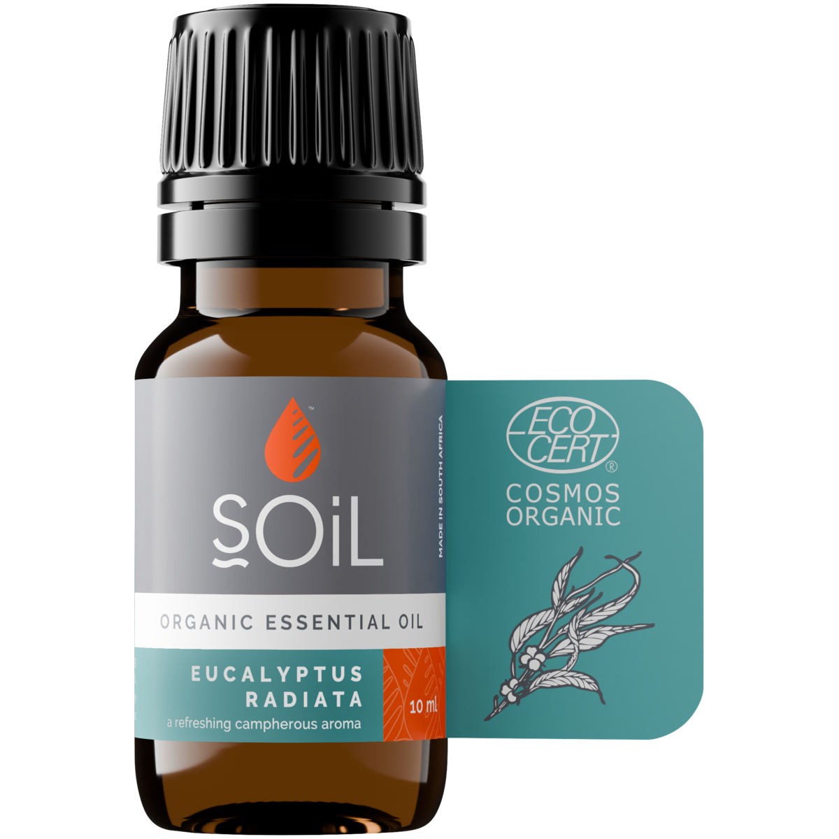 Organic Eucalyptus Radiata Essential Oil (Eucalyptus Radiata) 10ml
