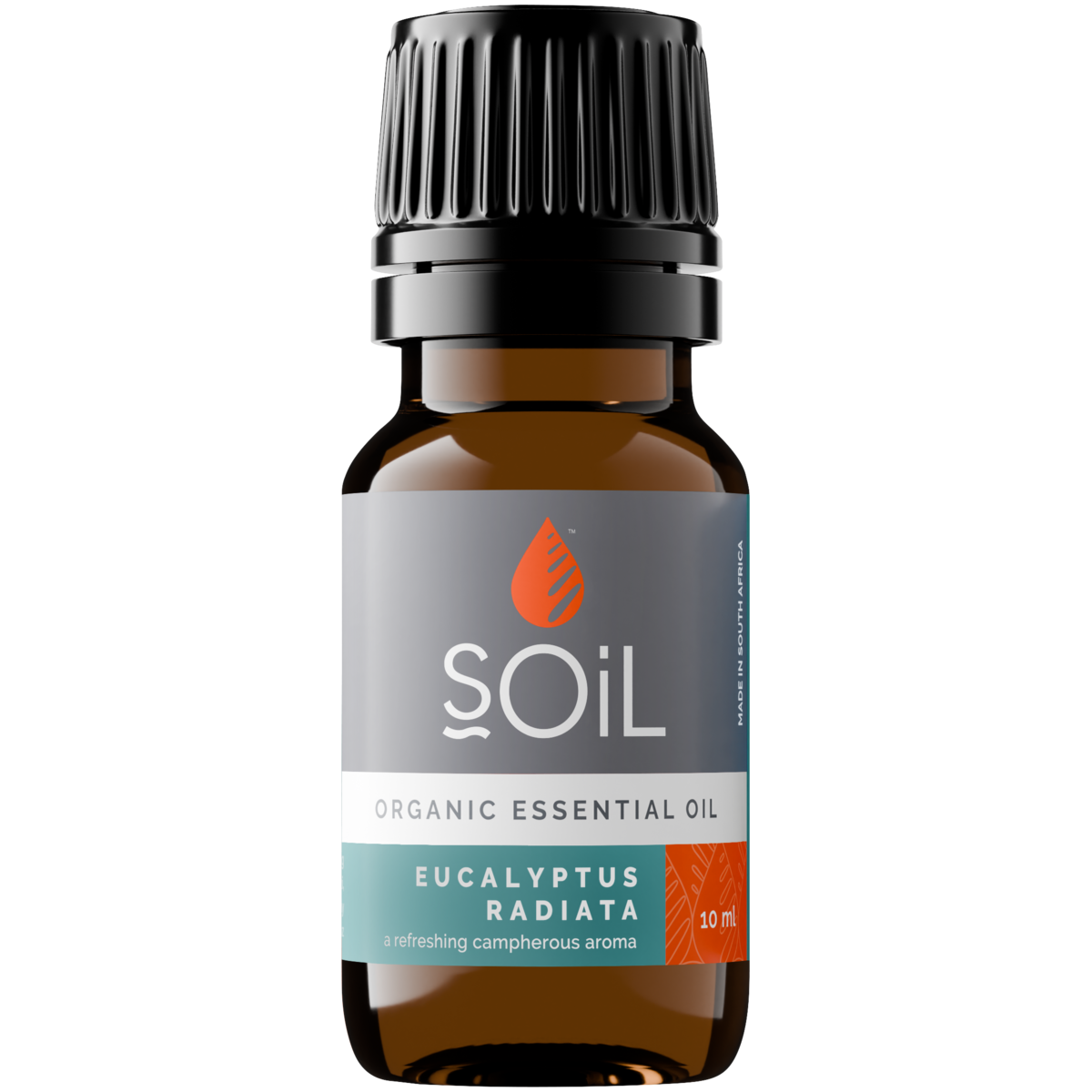 Organic Eucalyptus Radiata Essential Oil (Eucalyptus Radiata) 10ml
