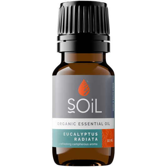 Organic Eucalyptus Radiata Essential Oil (Eucalyptus Radiata) 10ml