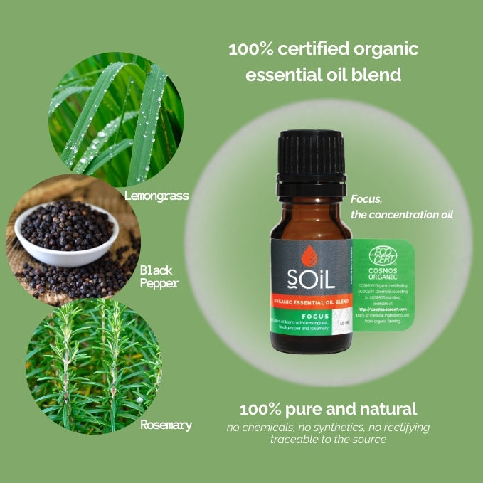 Focus - Organic Essential Oil Blend 10ml